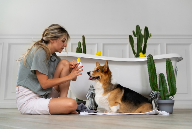 How to Choose the Best Dog Products for Your Furry Friend’s Well-Being